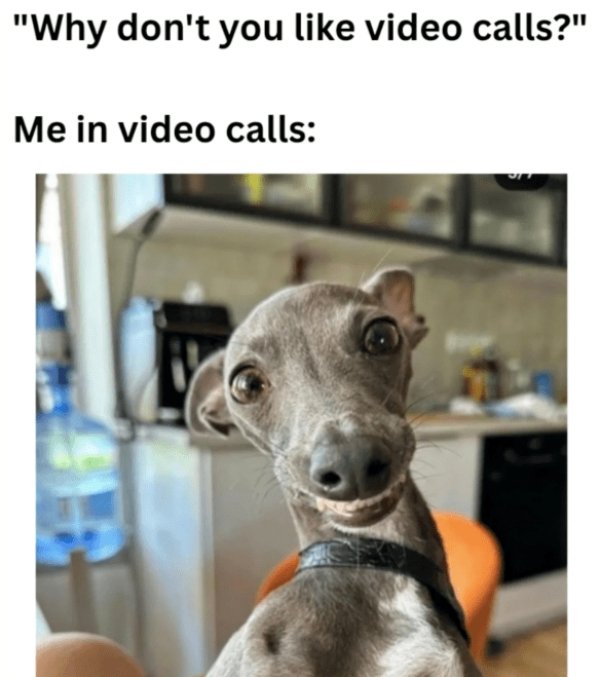 Memes For Introverts (29 pics)