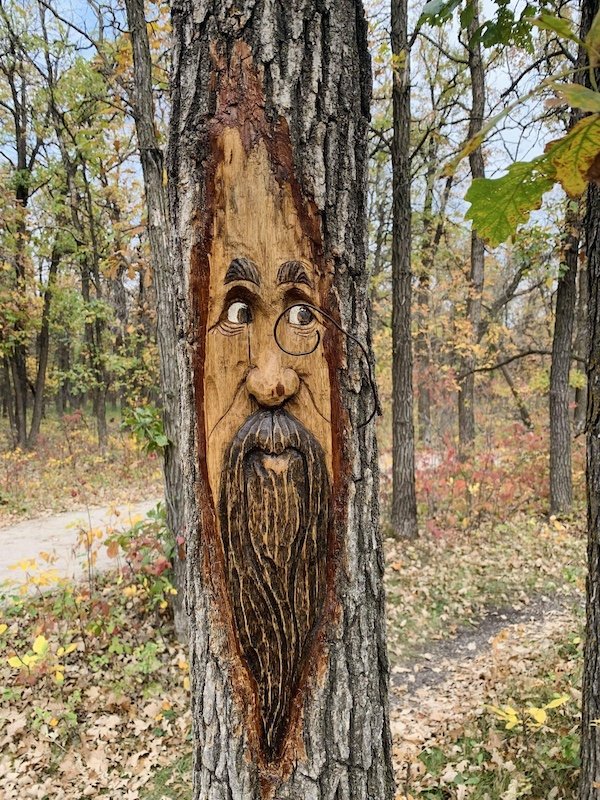 Talented People (25 pics)