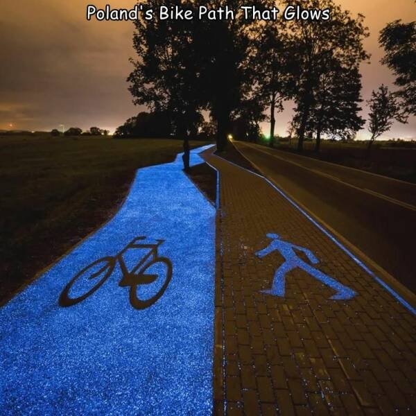 Interesting Inventions (17 pics)