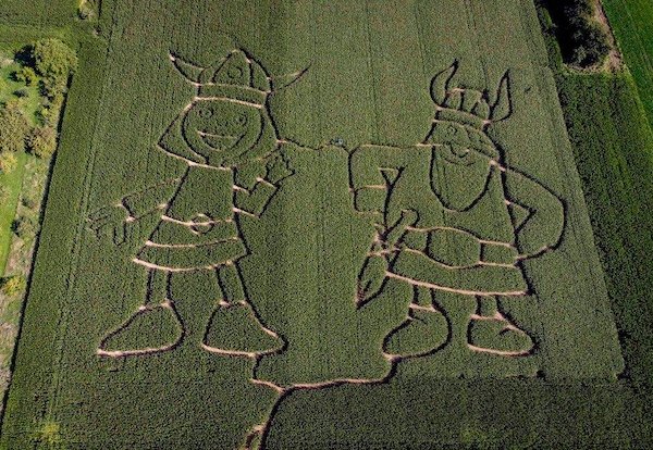 Talented People (25 pics)