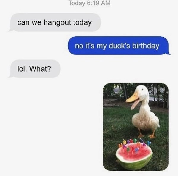 Memes For Animal Lovers (26 pics)