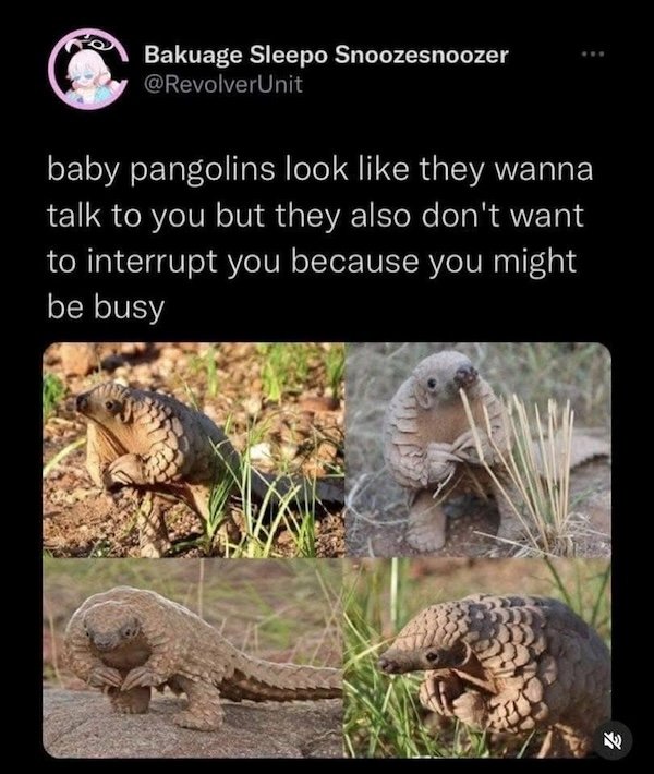 Memes For Animal Lovers (26 pics)
