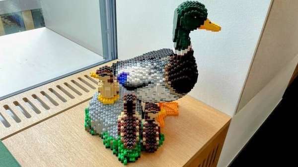 Talented People (25 pics)