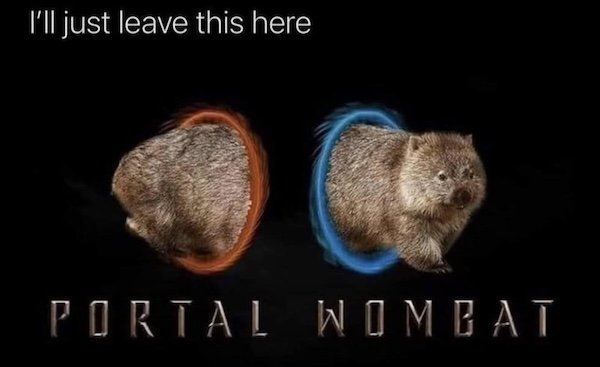 Memes For Animal Lovers (26 pics)