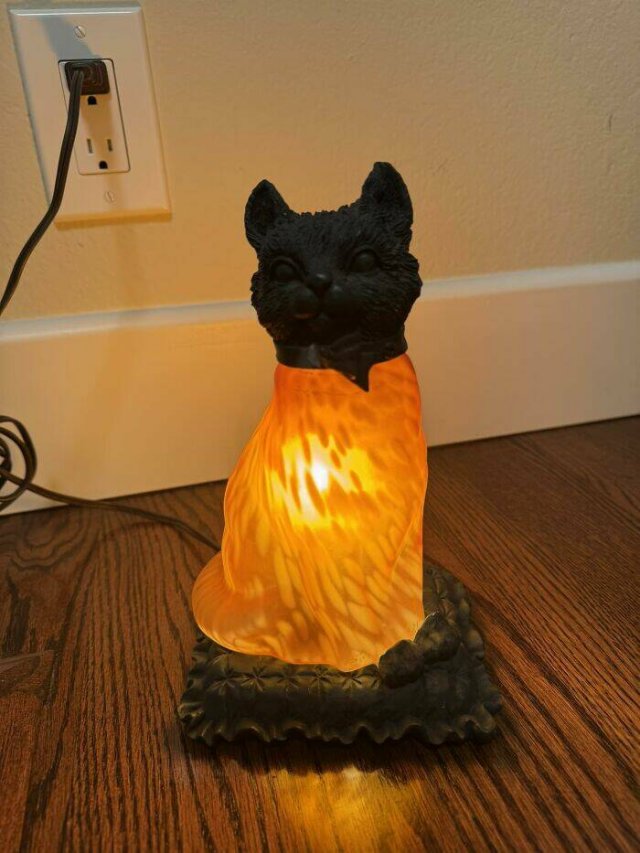 Treasures From Thrift Shops (25 pics)