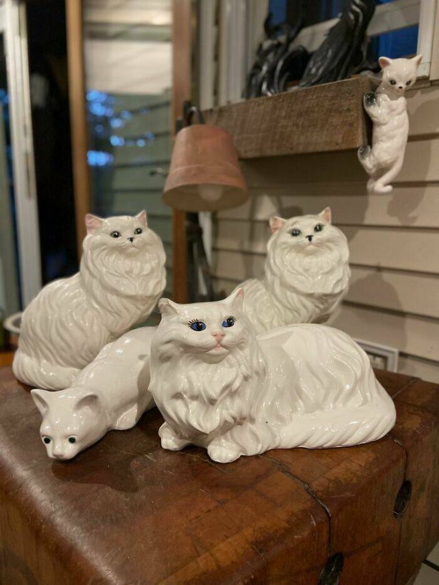 Treasures From Thrift Shops (25 pics)