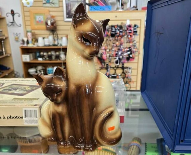 Treasures From Thrift Shops (25 pics)