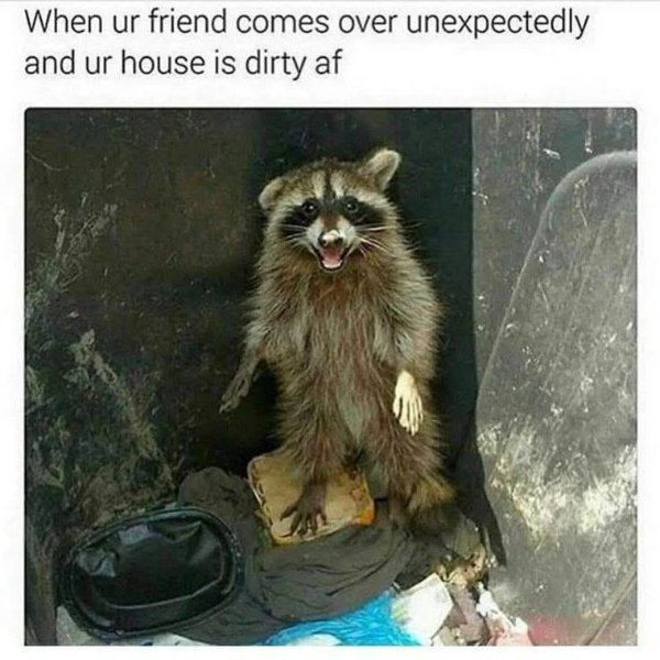 Funny Memes (25 pics)