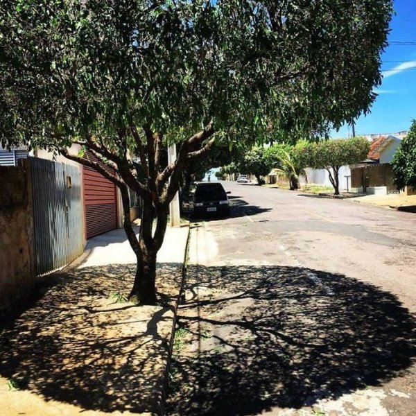 Photos For Perfectionists (28 pics)