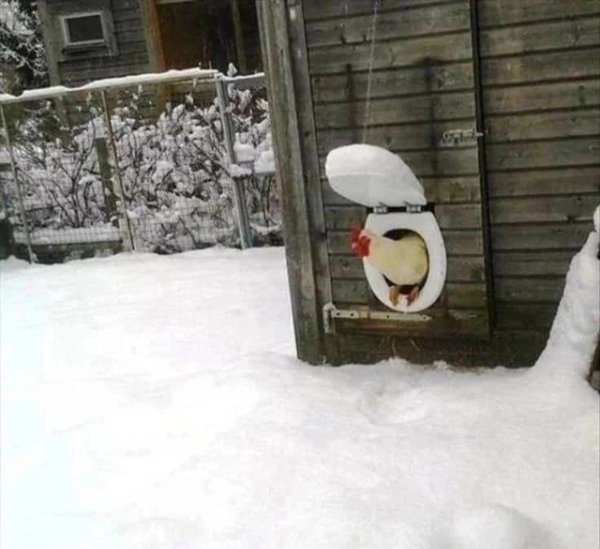 What Is Going On Here? (27 pics)