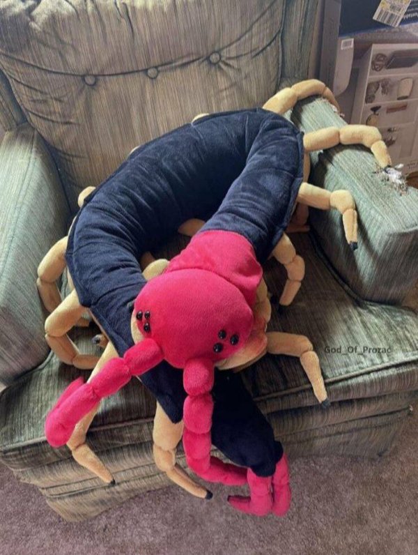 Weird Things And Designs (23 pics)