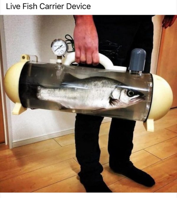 Odd Fashion (26 pics)