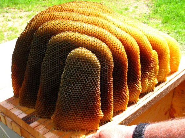 Photos For Perfectionists (28 pics)