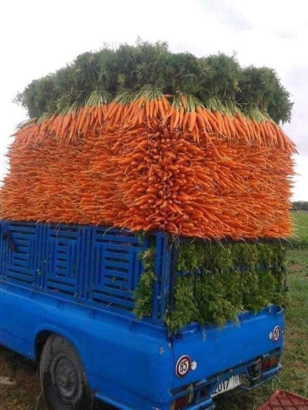 Photos For Perfectionists (28 pics)