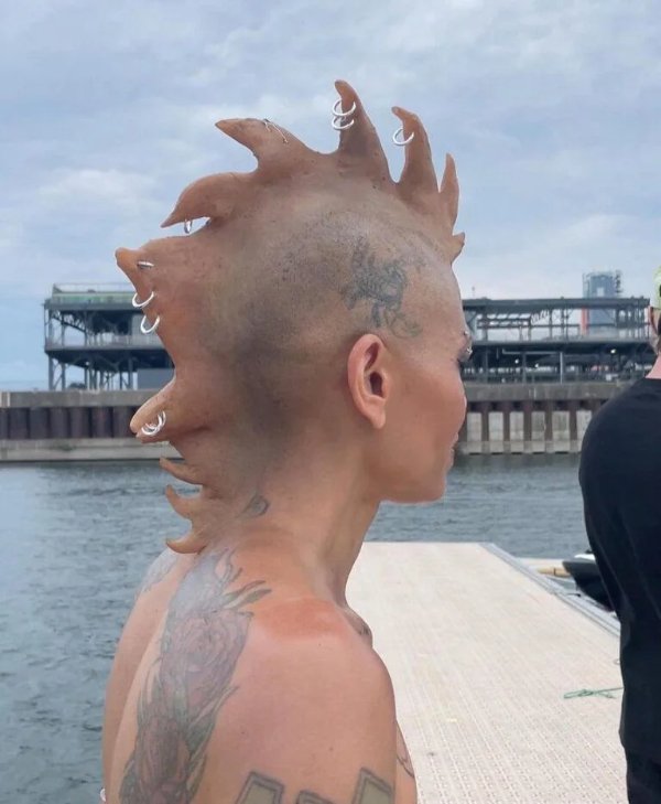 What Is Going On Here? (27 pics)