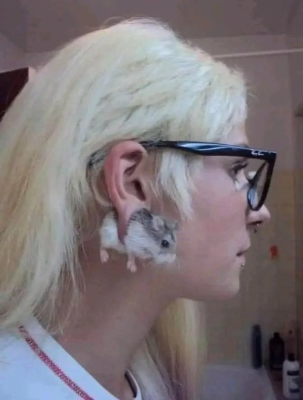 What Is Going On Here? (27 pics)