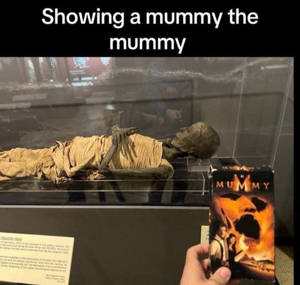 Funny Memes (25 pics)