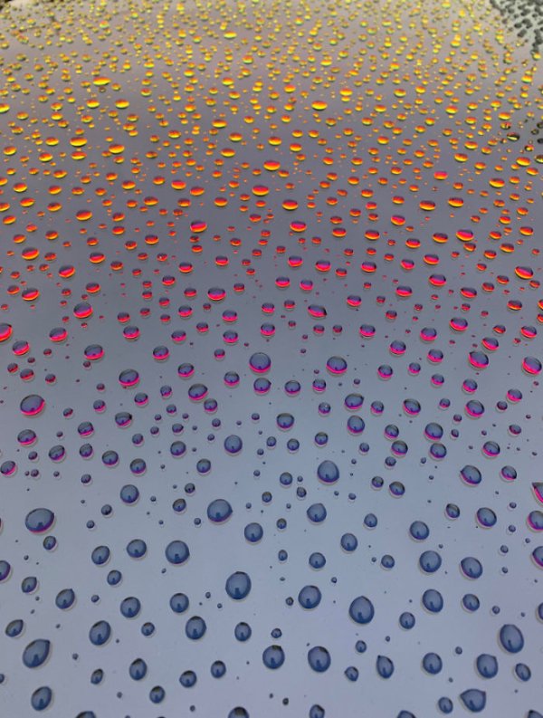 Photos For Perfectionists (28 pics)