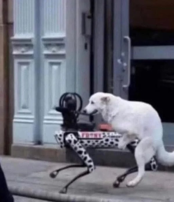 What Is Going On Here? (27 pics)