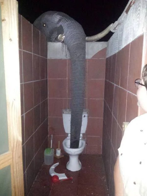 What Is Going On Here? (27 pics)