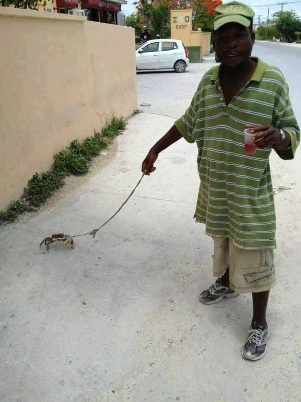 What Is Going On Here? (27 pics)
