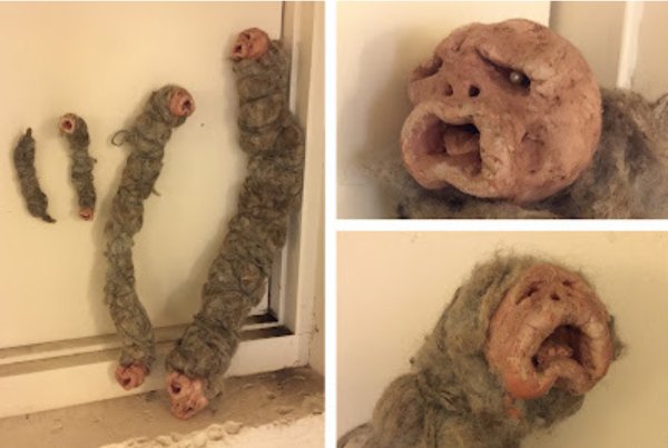 Creepy Finds (20 pics)