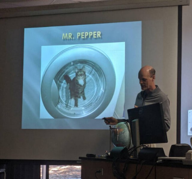 Amazing Teachers (25 pics)
