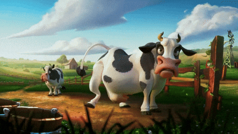 Random Facts (15 gifs)