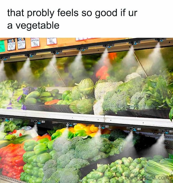 Truthful Memes (35 pics)