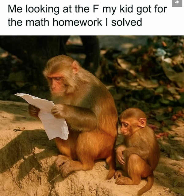 Truthful Memes (35 pics)