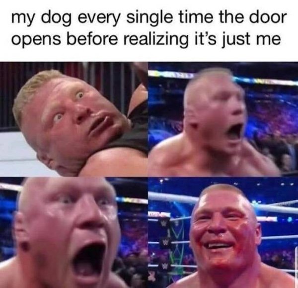 Truthful Memes (35 pics)