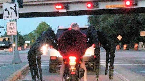 What Is Going On Here? (27 pics)