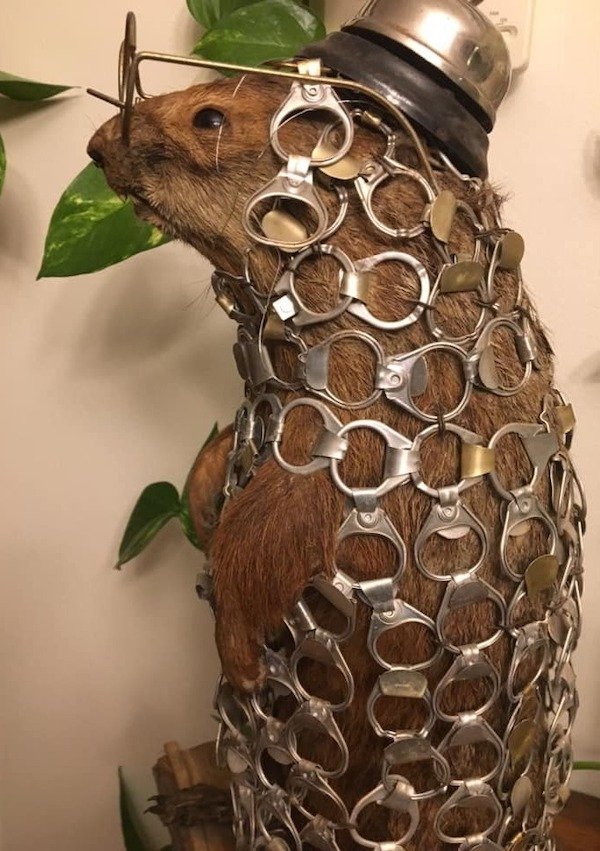 What Is Going On Here? (27 pics)