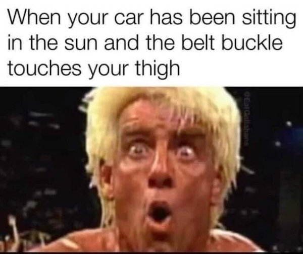 Truthful Memes (35 pics)