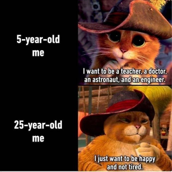 Truthful Memes (35 pics)