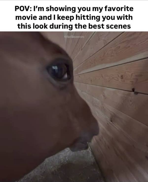 Truthful Memes (35 pics)