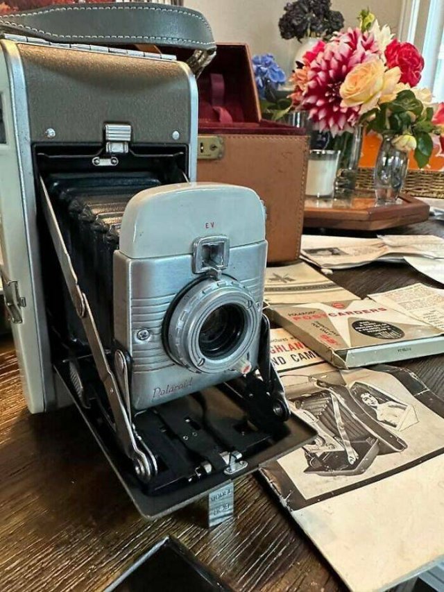 Interesting Finds In Old Houses (25 pics)