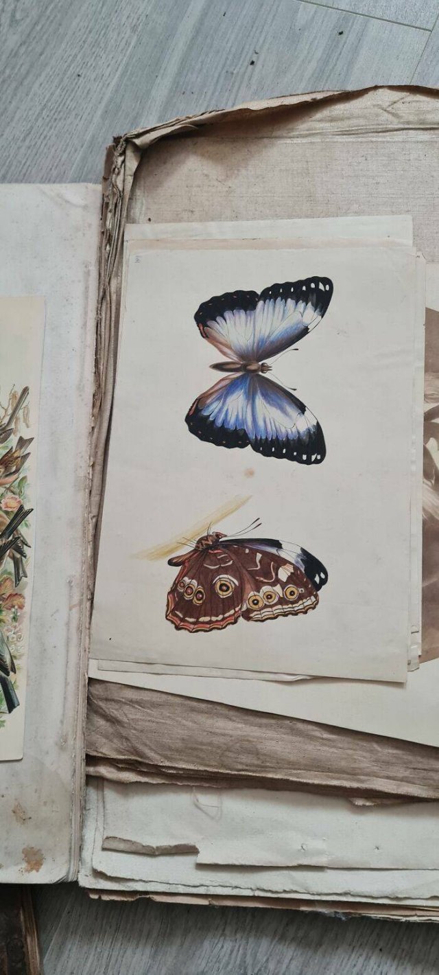 Interesting Finds In Old Houses (25 pics)