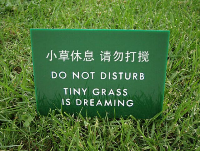 Failed Translation (23 pics)