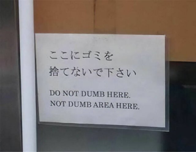 Failed Translation (23 pics)