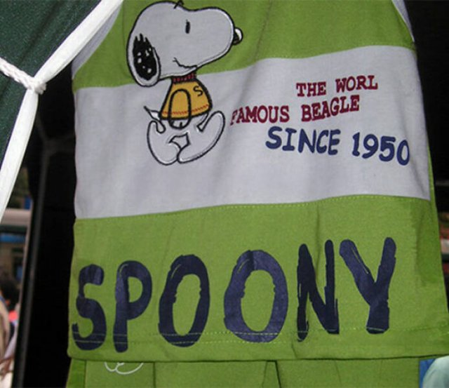 Failed Translation (23 pics)