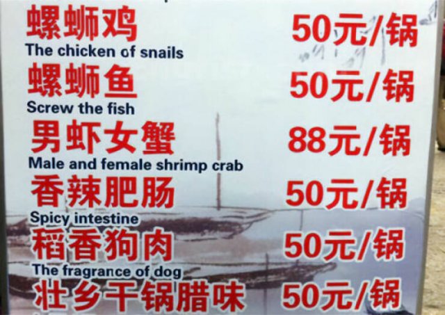 Failed Translation (23 pics)