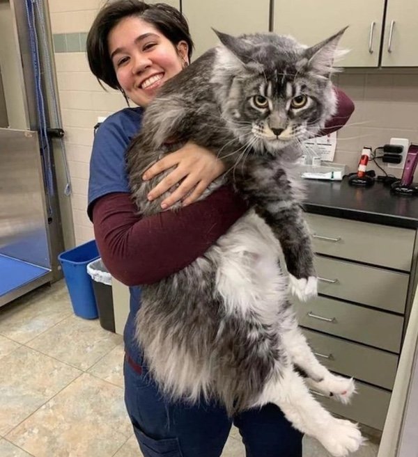 Giant Things (40 pics)