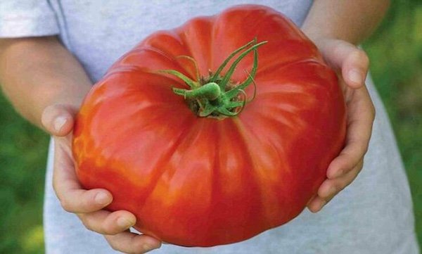 Giant Things (40 pics)