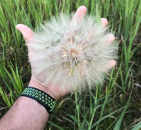 Giant Things (40 pics)