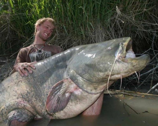 Giant Things (40 pics)