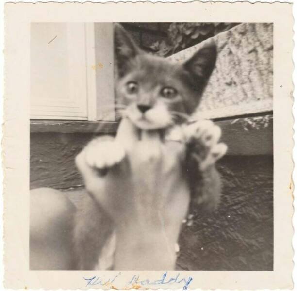 People Share Their Cool Photos From The Past (20 pics)
