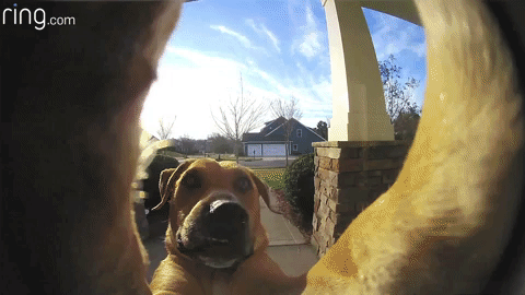 Nostalgic Memories (16 gifs)