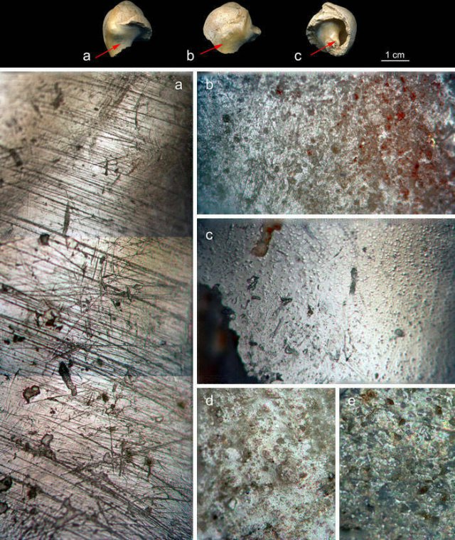 Incredible Archaeological Discoveries (21 pics) Incredible Archaeological Discoveries (21 pics)