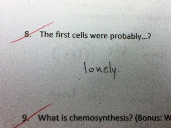 Failed And Funny Kids Answers (34 pics)